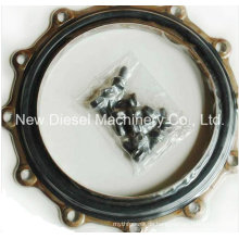 Cummins Diesel Ersatzteile Seal 3630681